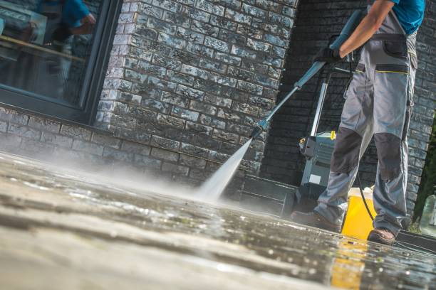 Animal Enclosure Cleaning in Monroe North, WA