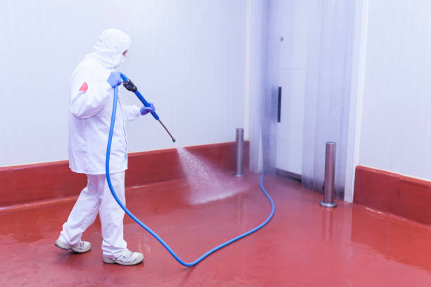 Best Driveway Pressure Washing  in Monroe North, WA