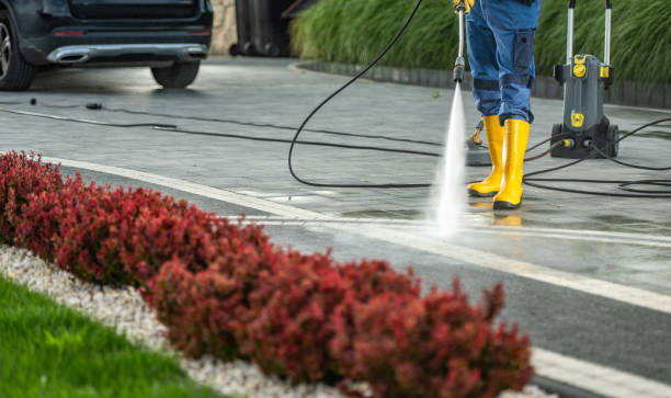 Best House Exterior Washing  in Monroe North, WA